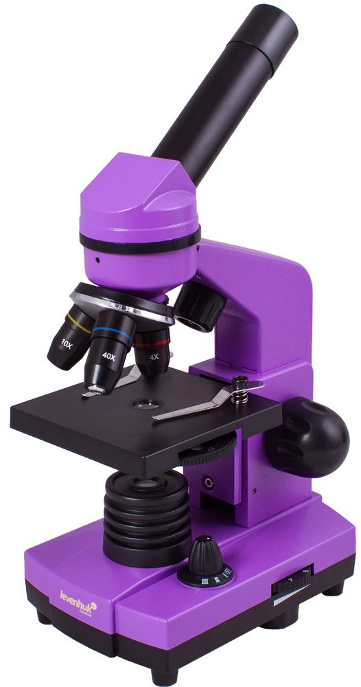 Микроскоп Levenhuk Rainbow 2L  Amethyst